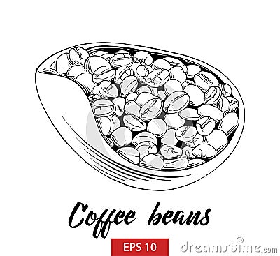 Hand drawn sketch of coffee beans in black isolated on white background. Detailed vintage etching style drawing. Vector Illustration