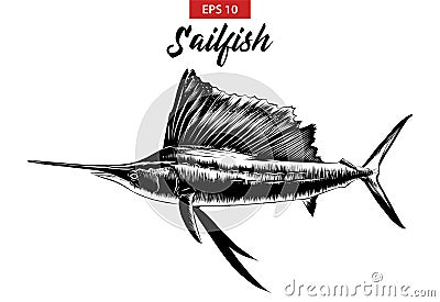 Hand drawn sketch of sailfish in black isolated on white background. Detailed vintage etching style drawing. Vector Illustration