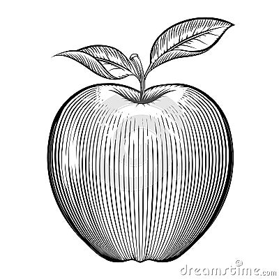 Vector engraving apple Vector Illustration