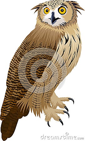 Vector eurasian eagle owl illustration Vector Illustration