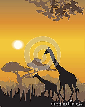 Vector evening landscape illustration Cartoon Illustration