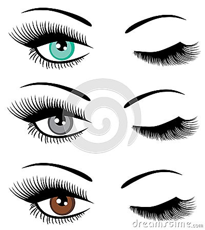 Vector set of eyes winking. Vector Illustration