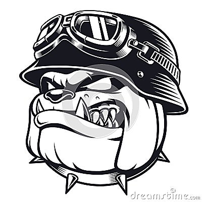 Bulldog biker with helmet Cartoon Illustration