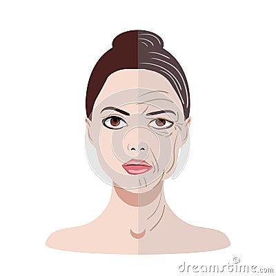 Vector face with two types of skin, young and old isolated Vector Illustration