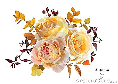 Vector, fall bouquet with yellow peach flowers. Orange seeded eucalyptus branches, burgundy leaves. Floral editable watercolor Vector Illustration