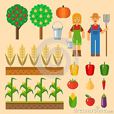 Vector farm harvesting equipment for agriculture and horticulture healthy natural fruits and hand tools Vector Illustration