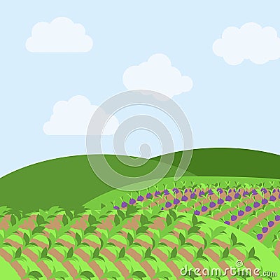 Vector Farm Themed Background Vector Illustration