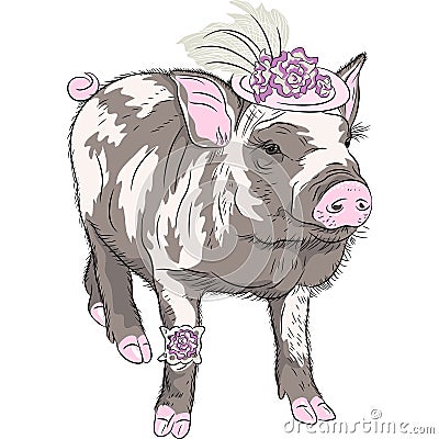 vector fashion funny piggy in beautiful hat wit flowers and garter of bride Vector Illustration