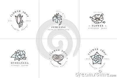 Vector feminine signs and logos, templates set. Floral Illustration-hydrangea, ranunculus, anemone and lily. Premium Vector Illustration