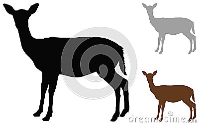 Doe or deer silhouette - hoofed ruminant mammal Vector Illustration