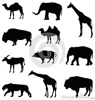 Wildlife animals silhouette - undomesticated animal species Vector Illustration