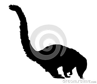 Wildlife mammal animal - coati silhouette Stock Photo