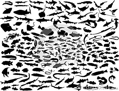 Vector fish Vector Illustration