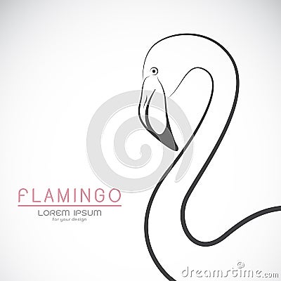 Vector of a flamingo design on white background. Vector Illustration