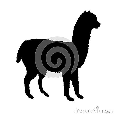Vector flat black alpaca llama silhouette Stock Photo