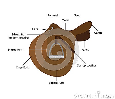 Vector flat cartoon saddle parts names Vector Illustration