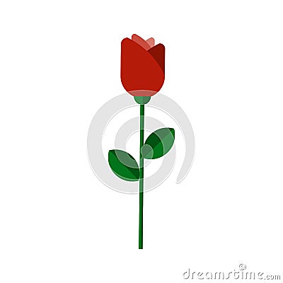 Vector flat flower icon. Vector rose illustration, flat style. Red rose with green leaves isolated on white background Vector Illustration