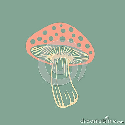 Vector flat fly agaric mushroom icon isolated. amanita Vector Illustration