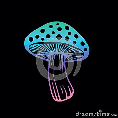 Vector flat fly agaric mushroom icon isolated on black background. amanita Vector Illustration