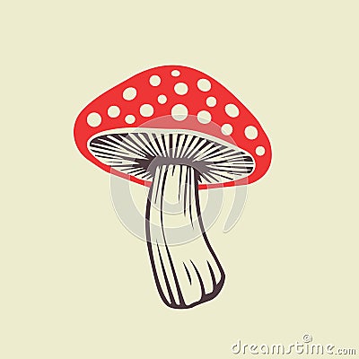 Vector flat fly agaric mushroom icon isolated on white background. amanita Vector Illustration