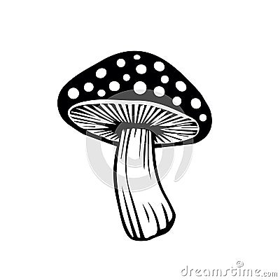 Vector flat fly agaric mushroom icon isolated on white background. amanita Vector Illustration