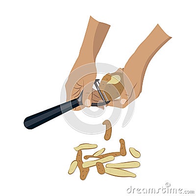 Vector flat food illustration of process of potato peeling Vector Illustration