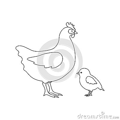 Vector flat hand drawn outline chicken and chick Vector Illustration