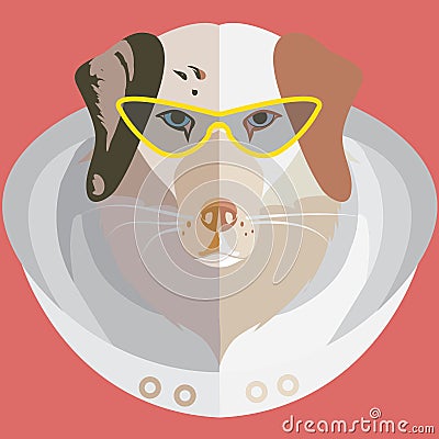 Vector flat head of australian shepherd with fashionable glasses and hood on a reddish background Vector Illustration