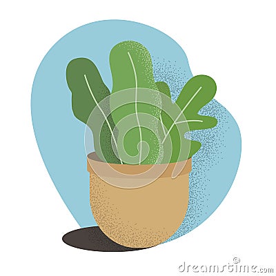 Vector flat house plant pot illustration. Colorful house plant in pot for your design. Vector Illustration