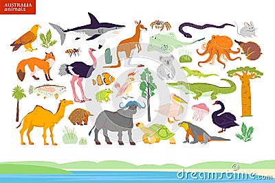 Vector flat illustration of Australia animals, seaside, plants Vector Illustration