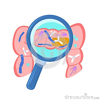 Vector flat intestine with a magnifying glass Vector Illustration