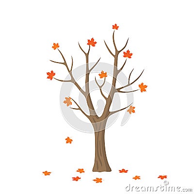 Vector flat maple tree Vector Illustration