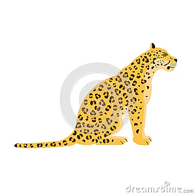 Vector flat sitting leopard Vector Illustration