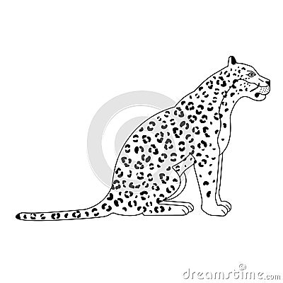 Vector flat sitting leopard Vector Illustration