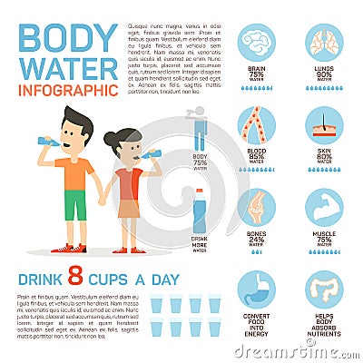 Vector flat style of body water infographic concept. Concept of drinking water, healthy lifestyle. Bottle brain body Vector Illustration