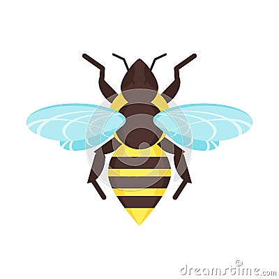 Vector flat style illustration of bee. Vector Illustration