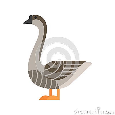 Vector flat style illustration of goose. Vector Illustration