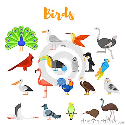 Vector flat style set of birds. Vector Illustration