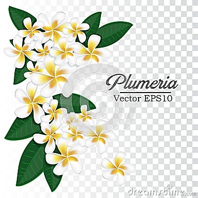 Vector floating flower Vector Illustration
