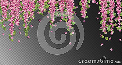 Pink Hanging Flowers Vector Illustration