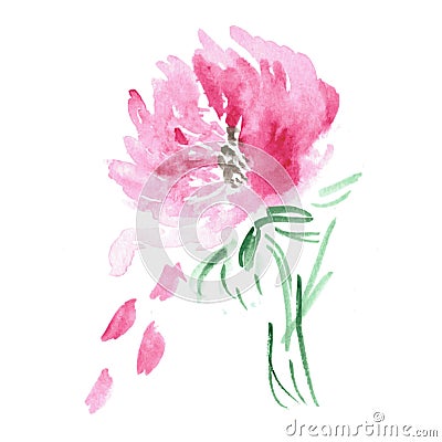 Vector floral background. Watercolor floral Vector Illustration