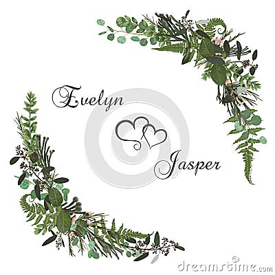 Vector floral bouquet design set, green forest leaf, brunia, fern, branches boxwood, buxus, eucalyptus and chamaelaucium. Vector Illustration