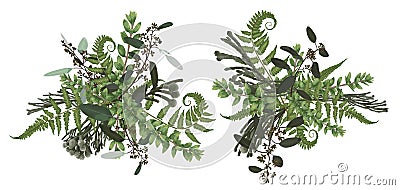 Vector floral bouquet design set, green forest leaf, brunia, fern, branches boxwood, buxus, eucalyptus. Watercolor style, herbs. Vector Illustration