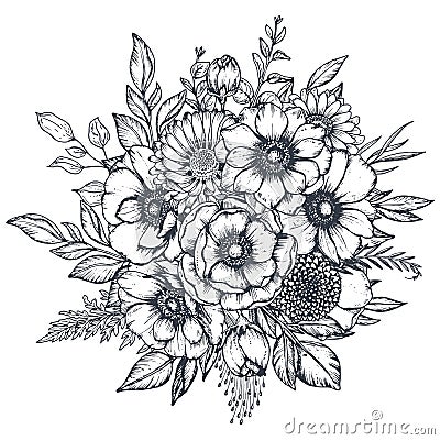 Vector floral composition of hand drawn anemone flowers Vector Illustration