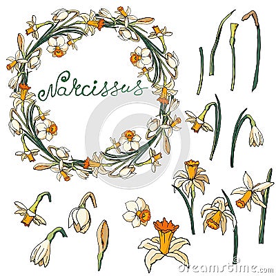 Vector floral frame with daffodils Vector Illustration