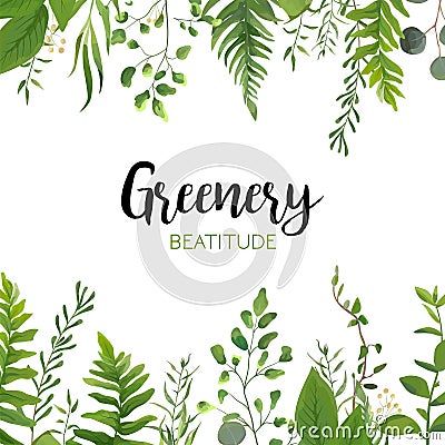 Vector floral greenery card design: Forest fern frond, Eucalyptus branch green leaves foliage herb greenery berry frame border. W Vector Illustration