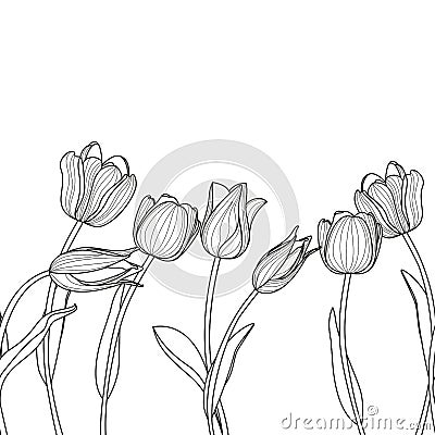 Vector floral seamless horizontal pattern. Black and white elegant background with hand drawn tulip flowers. Vector Illustration