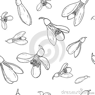 Vector floral seamless pattern with snowdrops Vector Illustration