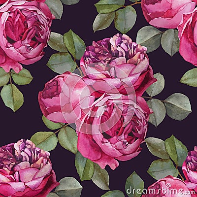 Vector floral seamless pattern with watercolor pink roses. Vector Illustration