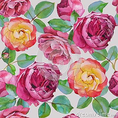 Vector floral seamless pattern with watercolor roses on beige background. Vector Illustration